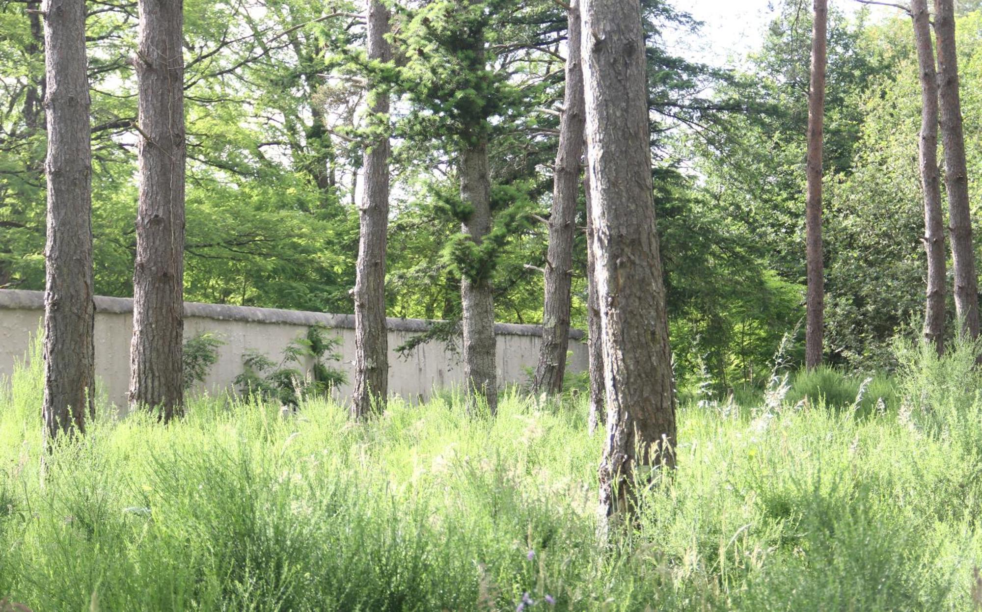 Вилла Le Refuge De Chambord Thoury Экстерьер фото